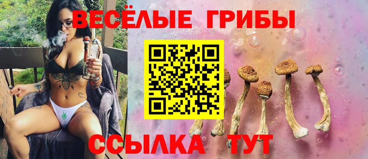 Галлюциногенные грибы ЛСД Октябрьский