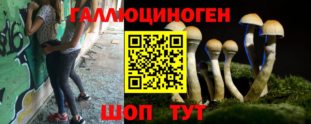 Октябрьский  Галлюциногенные грибы Psilocybe  Вход с VPN 